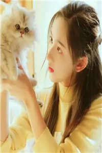 罗马假日-知乎唐柒柒封晏完结版小说