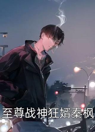 至尊战神狂婿秦枫十三苏00小说（完整版）阅读