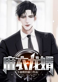 《麻衣龙婿》完结小说(全文在线阅读)