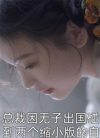 全章节小说总裁因无子出国碰到两个缩小版的自己野苹最新阅读