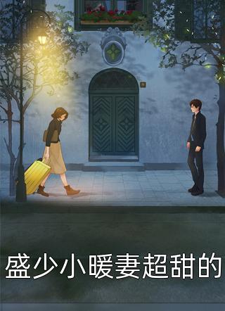 盛少小暖妻超甜的全本小说（盛少小暖妻超甜的）全文阅读