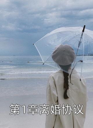 夏安迪写的小说第1章离婚协议小说全文阅读