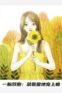 完结版甜酒的小说一胎双胞总裁爹地宠上瘾阅读