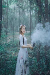 战狼殿叶无敌林诗诗全本小说大结局阅读