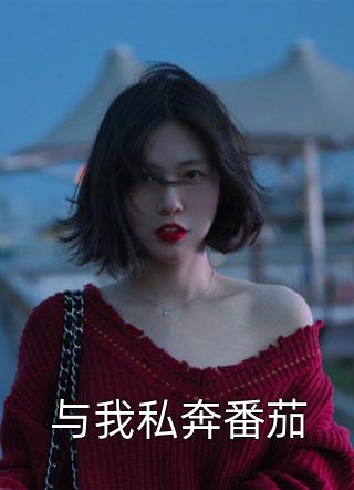 与我私奔番茄小说全文狄戈免费阅读