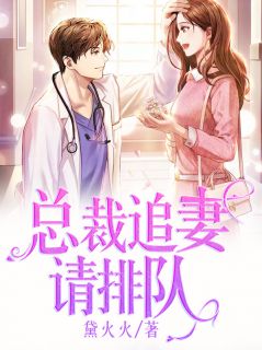 总裁追妻请排队黛火火小说最新章节阅读