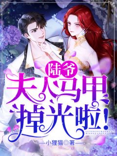 《陆爷，夫人马甲掉光啦！》小说完整章节陆爷，夫人马甲掉光啦！免费阅读