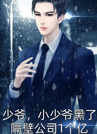 最新小说少爷，小少爷黑了隔壁公司1个亿免费阅读