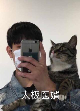 爆款小说太极医婿全文免费阅读