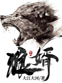 狼婿大江大河小说最新章节阅读