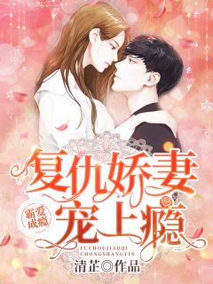 爆款小说腹黑总裁宠妻上瘾全文免费阅读