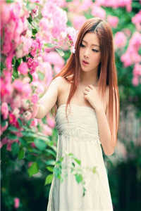 医乡田园悍妇当家完结版-沈雁秋宁墨初小说全章节阅读