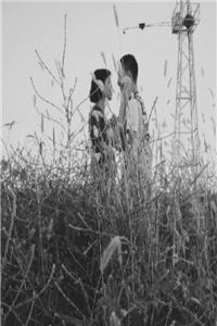 八拜之交唐小悠顾南辰全文免费阅读(唐小悠顾南辰)完结版阅读