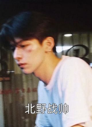 北野战帅小说全文龙猫大大免费阅读