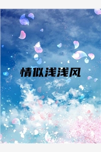 小说情似浅浅风小说全文阅读沈毅南梦若完结版阅读