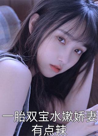一胎双宝水嫩娇妻有点辣穆子白最新小说全文阅读