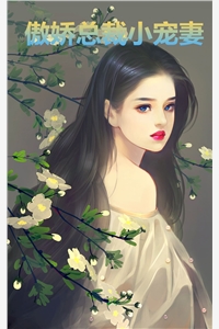 傲娇总裁小宠妻