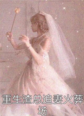 新上小说重生渣总追妻火葬场无尽夏最新章节阅读