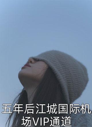 最新小说五年后江城国际机场VIP通道免费阅读