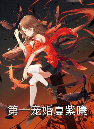 第一宠婚夏紫曦全本小说第一宠婚夏紫曦免费章节阅读