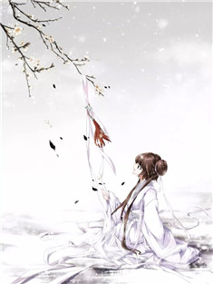 唐娇娇贺北城公主文唐娇娇贺北城全文完结版小说阅读