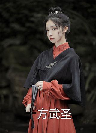 十方武圣小说 十方武圣免费阅读