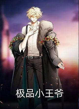 《极品小王爷》完结小说(全文在线阅读)