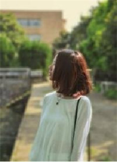 苏宁安林顾白小说苏宁安林顾白热门小说完整版阅读