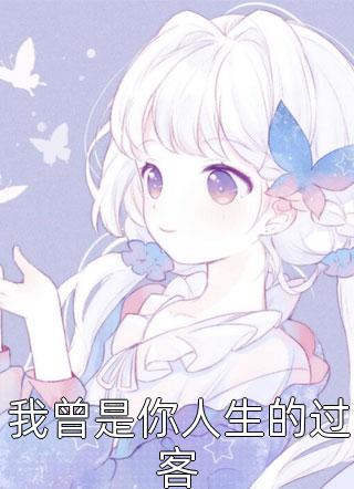 我曾是你人生的过客全本小说（我曾是你人生的过客）全文阅读