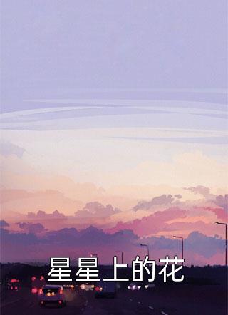 星星上的花烟罗小说（完整版）阅读