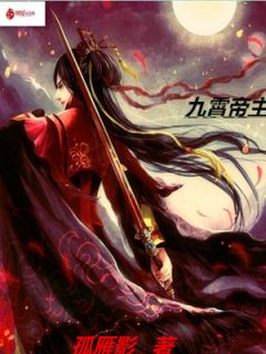 九霄帝主孤雁影小说全文免费阅读