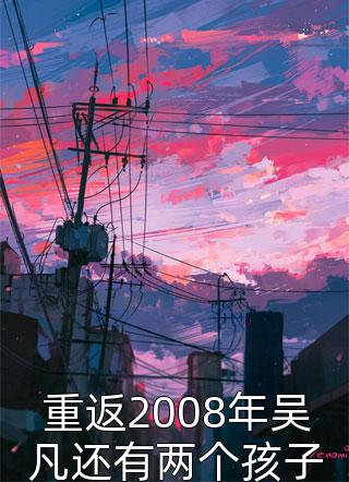 重返2008年吴凡还有两个孩子免费小说流年全文阅读