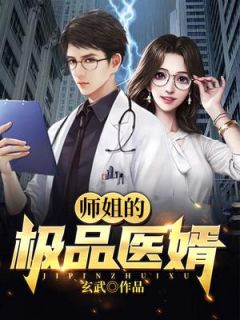 师姐的极品医婿免费小说玄武全文阅读