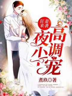 狂妻来袭：夜少，高调宠全文免费阅读(煮玖)完结版阅读