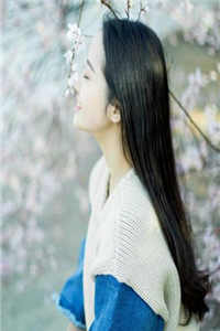 娇气包拦住九皇叔顾明珠顾离墨免费小说全文阅读