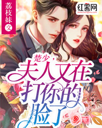 楚少，夫人又在打你的脸了by荔枝妹在线阅读