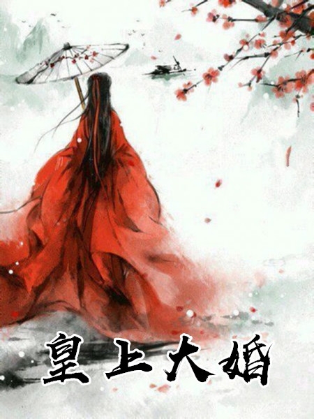 皇上大婚