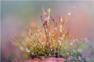 一本和离书(元毅辰)全文免费阅读_一本和离书最新章节列表