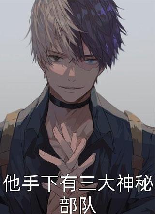 [完结]他手下有三大神秘部队全章节阅读