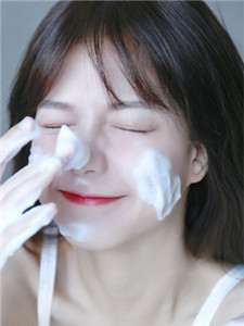 拿回我的梦想全文阅读 寻隐者不遇章节阅读