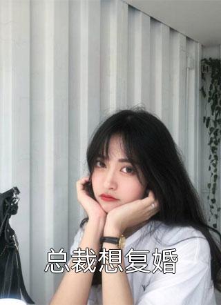 总裁想复婚蓝颜岚小说免费阅读