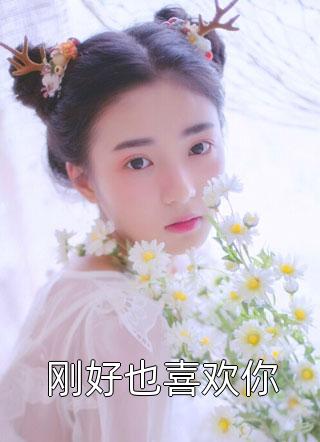 爆款小说刚好也喜欢你全文免费阅读