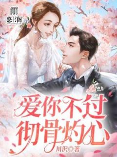 爱你不过彻骨灼心免费小说川沢全文阅读