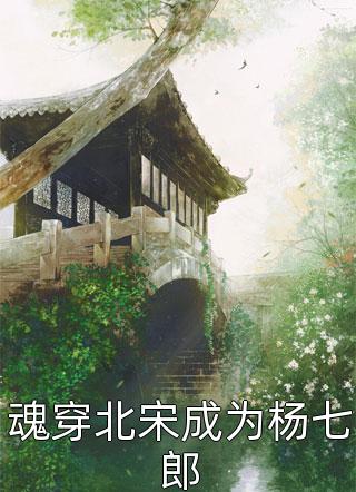 魂穿北宋成为杨七郎全本小说魂穿北宋成为杨七郎免费章节阅读