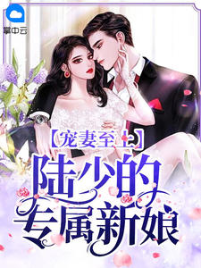 爆款小说锦橙《宠妻至上：陆少的专属新娘》在线阅读