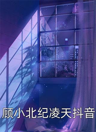 顾小北纪凌天抖音周年年全本小说最新阅读