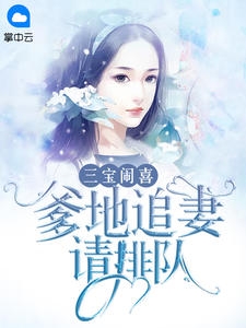 三宝闹喜爹地追妻请排队夜霸霸全文小说免费阅读
