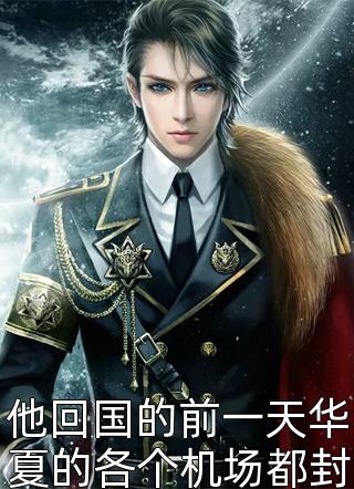张龙虎写的小说他回国的前一天华夏的各个机场都封锁停飞小说全文阅读