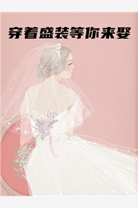 穿着盛装等你来娶苏瞳陆昊澄小说全集免费试读