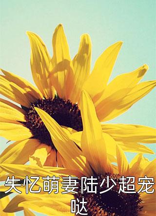 失忆萌妻陆少超宠哒拾光在线阅读-失忆萌妻陆少超宠哒全文免费阅读